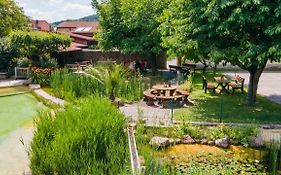 Landhotel Gut Wildberg Mit Badeteich